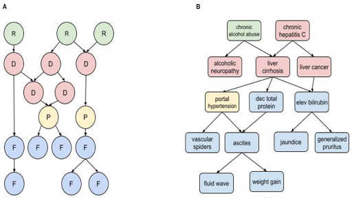 Expert Diagnostic Heuristics for Rare Failures